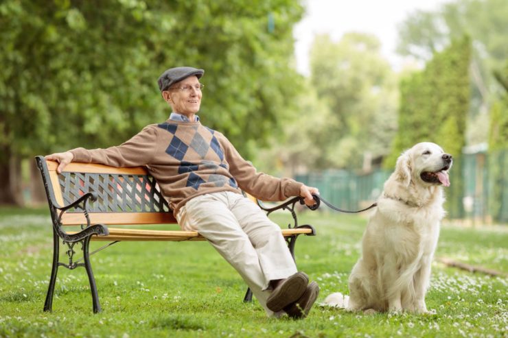 old man sitting with a dog on a bench in park when her heat is finally over
