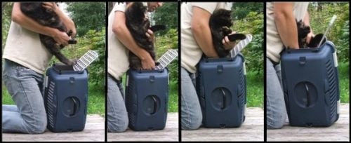 How to get a cat into a carrier