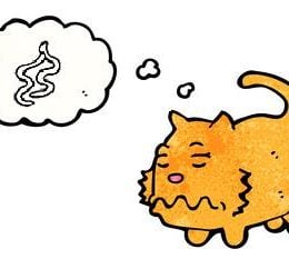 cat thinking about worms, cartoon