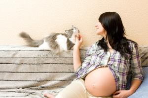 It's not fair when a woman must choose between her unborn child and her cat. Especially because it's not necessary.