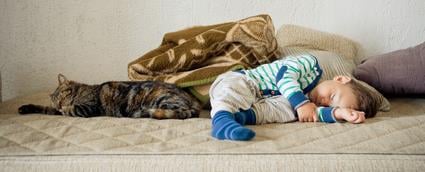Cute baby toddler boy and cat sleeping together