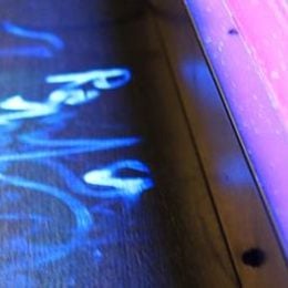 UV lamp can help to find cat urine spots