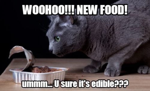 Are you sure it's edible. Switching cat food meme