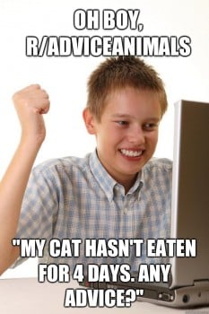 Meme - Cat not eating new food