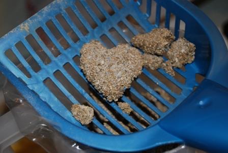 Litter box cleaning, heart shaped clumping litter in the litter scoop