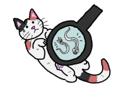 cat with worms, shown in a magnifying glass. cartoon
