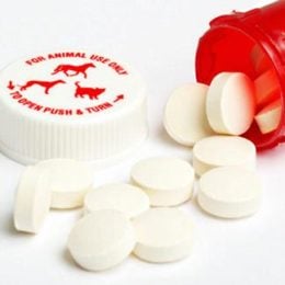 Veterinary pills