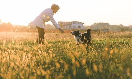 woman training her dog in a meadow