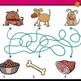 dog food maze