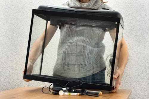woman placing empty aquarium on the table with heater filter and thermometer