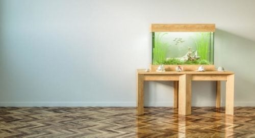 Aquarium placed on a table