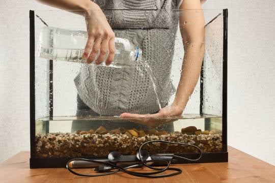 woman pours water in the fish tank