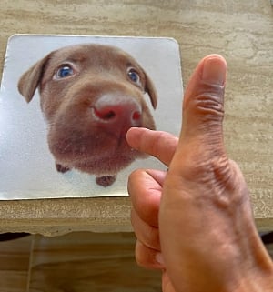 Hand signal for Bang dog training command. Forefinger extended towards a picture of a puppy