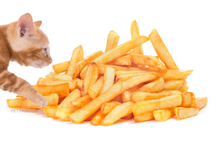 An orange cat pawing at a pile of french fries seeming to ask, can cats eat fries?